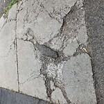 Sidewalk Repair at 210 Harvard St