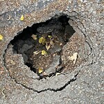Pothole at 47 Wolcott Rd, Chestnut Hill
