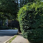 Sidewalk Obstruction at 340 Kent St