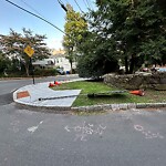 Sidewalk Obstruction at 2–28 Chestnut Pl