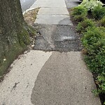 Sidewalk Repair at 30 Summit Ave