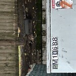 Rodent Issues at 455 Harvard St