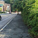 Sidewalk Obstruction at 98 Chapel St