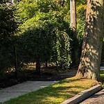 Sidewalk Obstruction at 591 Chestnut Hill Ave