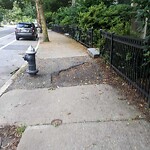 Sidewalk Repair at 255 Cypress St