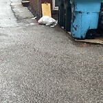 Rodent Issues at 1803 Beacon St