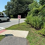 Sidewalk Obstruction at 965 Hammond St, Chestnut Hill