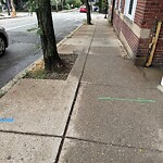 Sidewalk Repair at 42.33 N 71.13 W