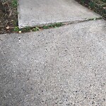 Sidewalk Repair at 238 Cypress St