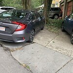 Parking Issues at 61 White Pl, Brookline 02445