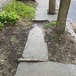 Sidewalk Obstruction at 21 Hart St