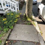 Sidewalk Obstruction at 9 Hart St