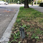 Damaged Sign at 1781 Beacon St