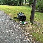 Trash/Recycling at Brookline Ave