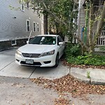 Sidewalk Obstruction at 1–99 Edwin St