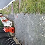 Sidewalk Obstruction at 244 Heath St, Chestnut Hill