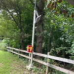 Damaged Sign at 201–299 Arlington Rd, Chestnut Hill