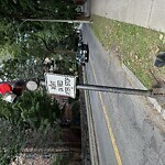 Traffic Signal at 185 Freeman St, Brookline 02446