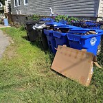 Trash/Recycling at 282 Cypress St