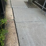 Sidewalk Repair at 22 Tappan St