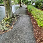 Sidewalk Repair at 26 Greenough St