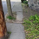 Sidewalk Repair at 23 Hart St