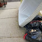 Trash/Recycling at 42.35 N 71.12 W
