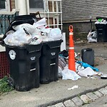 Trash/Recycling at 42.33 N 71.13 W Trash/Recycling at 42.33 N 71.13 W