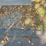 Sidewalk Repair at 18 Penniman Rd