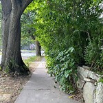 Sidewalk Obstruction at 100 Eliot St, Chestnut Hill