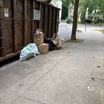 Trash/Recycling at 241 Freeman St