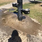 Park Playground at 345 Harvard St