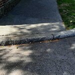 Sidewalk Repair at 545 Chestnut Hill Ave