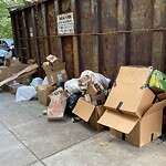 Trash/Recycling at 237–299 Freeman St