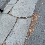 Sidewalk Repair at 785 Washington St