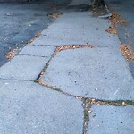 Sidewalk Repair at 783 Washington St