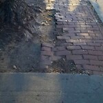 Sidewalk Repair at 732 Washington St