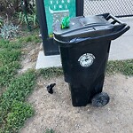 Trash/Recycling at 599 Brookline Ave