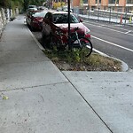 Abandoned Bike at 57 Westbourne Terr