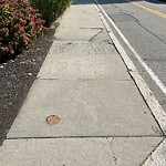 Sidewalk Repair at 281 Walnut St