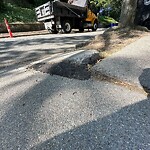 Sidewalk Repair at 64 University Rd