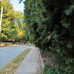 Sidewalk Obstruction at 133 Rawson Rd