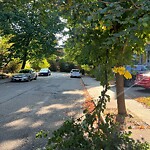 Public Trees at 12 Kent Square