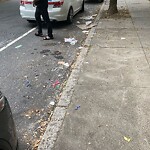 Trash/Recycling at 241 Freeman St