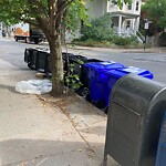 Trash/Recycling at 237 Freeman St