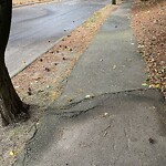 Sidewalk Repair at 25–67 Hancock Rd