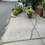 Sidewalk Obstruction at 21 Hart St