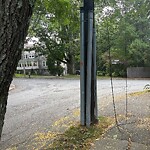 Sidewalk Obstruction at 58–98 Circuit Rd, Chestnut Hill