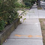 Sidewalk Obstruction at 64 Winchester St