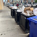 Trash/Recycling at 240 Babcock St